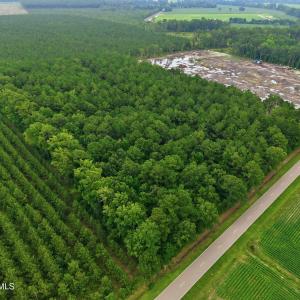 Photo #2 of Saintsville, Greenville, NC 11.5 acres