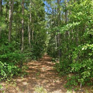 Photo #14 of Saintsville, Greenville, NC 11.5 acres
