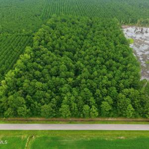 Photo #8 of Saintsville, Greenville, NC 11.5 acres