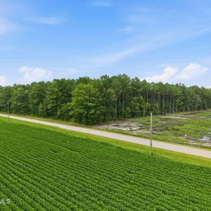 Photo #10 of Saintsville, Greenville, NC 11.5 acres