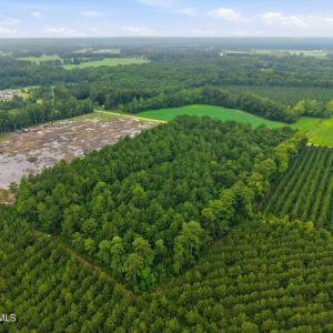 Photo #6 of Saintsville, Greenville, NC 11.5 acres