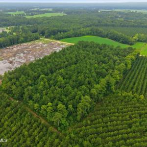 Photo #5 of Saintsville, Greenville, NC 11.5 acres