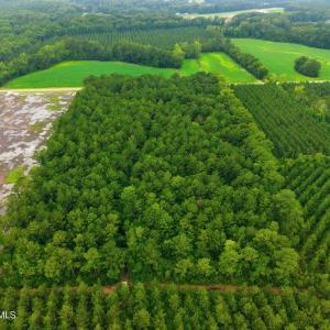 Photo #7 of Saintsville, Greenville, NC 11.5 acres