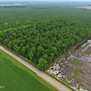 Photo #3 of Saintsville, Greenville, NC 11.5 acres
