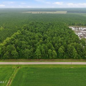 Photo #9 of Saintsville, Greenville, NC 11.5 acres