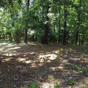 Photo #1 of 45 Wildmeade, North Augusta, SC 0.7 acres