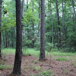 Photo #4 of 6781 Hanbury, Ocean Isle Beach, NC 0.4 acres