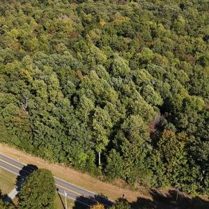 dji_fly_20241013_152150_0246_17290323162