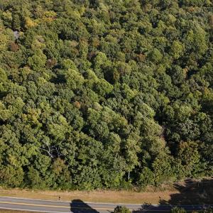 dji_fly_20241013_152126_0244_17290323147