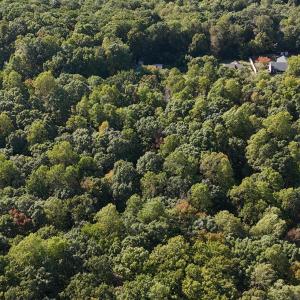 dji_fly_20241013_152326_0250_17290323193