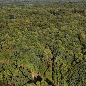 dji_fly_20241013_153052_0263_17290323279