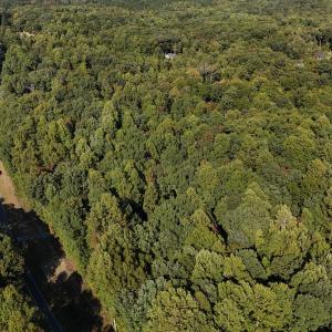 dji_fly_20241013_153010_0260_17290323249
