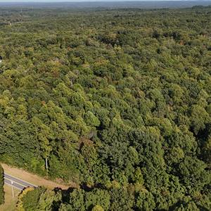 dji_fly_20241013_152916_0258_17290323261