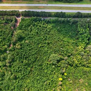 Photo #12 of 382 Alston Horton Service, Pittsboro, NC 25.4 acres