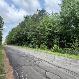 Photo #14 of 382 Alston Horton Service, Pittsboro, NC 25.4 acres