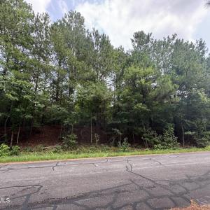 Photo #4 of 382 Alston Horton Service, Pittsboro, NC 25.4 acres