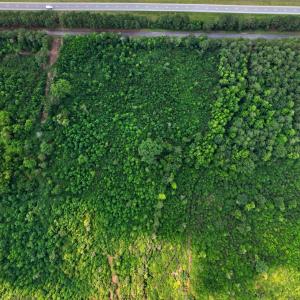 Photo #11 of 382 Alston Horton Service, Pittsboro, NC 25.4 acres