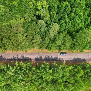 Photo #8 of 382 Alston Horton Service, Pittsboro, NC 25.4 acres