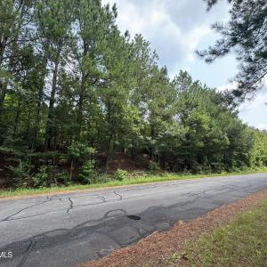 Photo #1 of 382 Alston Horton Service, Pittsboro, NC 25.4 acres