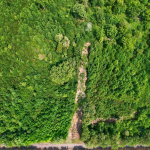 Photo #6 of 382 Alston Horton Service, Pittsboro, NC 25.4 acres