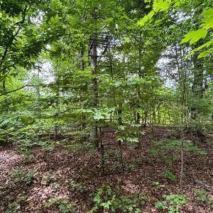 Photo #4 of 1188 Long Cane, Edgefield, SC 20.0 acres