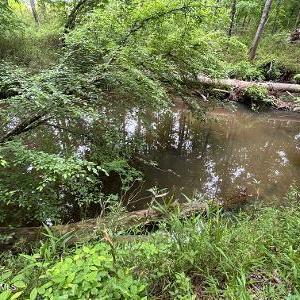 Photo #2 of 1188 Long Cane, Edgefield, SC 20.0 acres