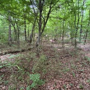 Photo #5 of 1188 Long Cane, Edgefield, SC 20.0 acres
