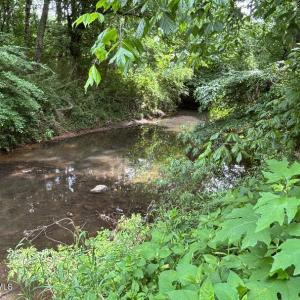 Photo #1 of 1188 Long Cane, Edgefield, SC 20.0 acres