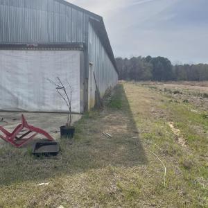 Photo #3 of 5650 Old 125, Scotland Neck, NC 11.4 acres