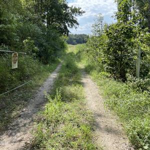 Photo #7 of 5650 Old 125, Scotland Neck, NC 11.4 acres