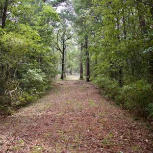 Photo #34 of 385 Sand Ridge, New Bern, NC