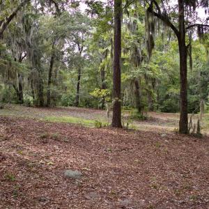 Photo #30 of 385 Sand Ridge, New Bern, NC