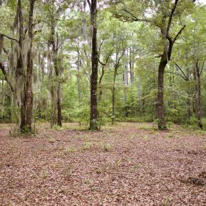 Photo #13 of 385 Sand Ridge, New Bern, NC