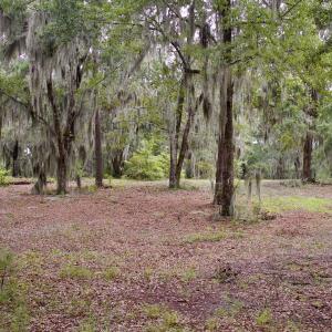 Photo #3 of 385 Sand Ridge, New Bern, NC