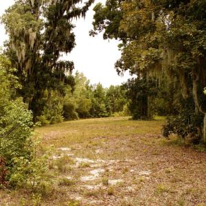 Photo #17 of 385 Sand Ridge, New Bern, NC
