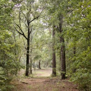 Photo #35 of 385 Sand Ridge, New Bern, NC