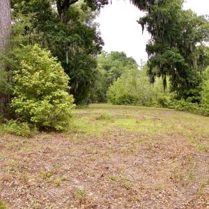 Photo #24 of 385 Sand Ridge, New Bern, NC