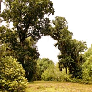 Photo #23 of 385 Sand Ridge, New Bern, NC