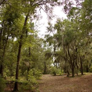Photo #31 of 385 Sand Ridge, New Bern, NC