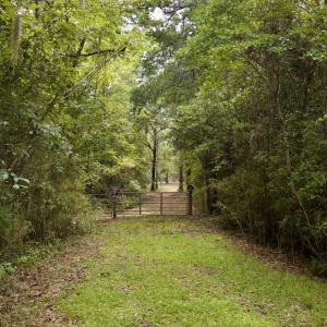 Photo #39 of 385 Sand Ridge, New Bern, NC