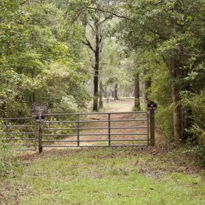 Photo #40 of 385 Sand Ridge, New Bern, NC