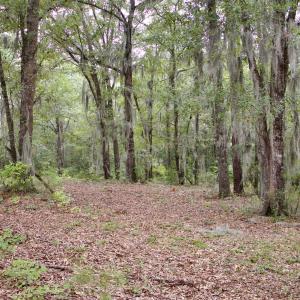 Photo #12 of 385 Sand Ridge, New Bern, NC