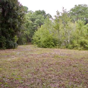 Photo #19 of 385 Sand Ridge, New Bern, NC