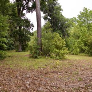 Photo #21 of 385 Sand Ridge, New Bern, NC