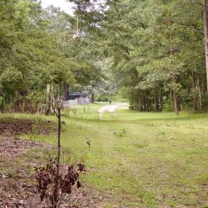 Photo #36 of 385 Sand Ridge, New Bern, NC