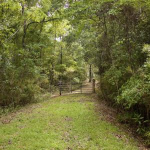 Photo #38 of 385 Sand Ridge, New Bern, NC