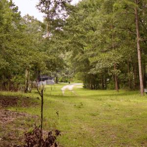 Photo #37 of 385 Sand Ridge, New Bern, NC