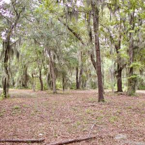 Photo #25 of 385 Sand Ridge, New Bern, NC