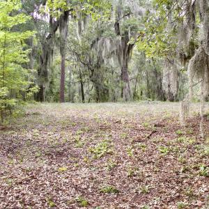 Photo #27 of 385 Sand Ridge, New Bern, NC