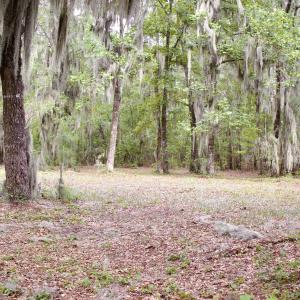 Photo #26 of 385 Sand Ridge, New Bern, NC